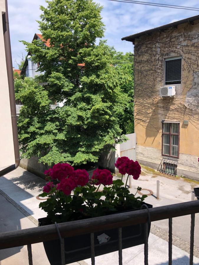 Cross Street 4 Guest house Ljubljana